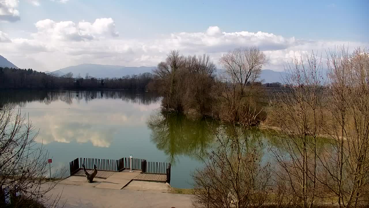 Webcam Ribnik Vrbje – Žalec