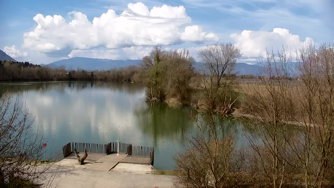 Spletna kamera Ribnik Vrbje – Žalec