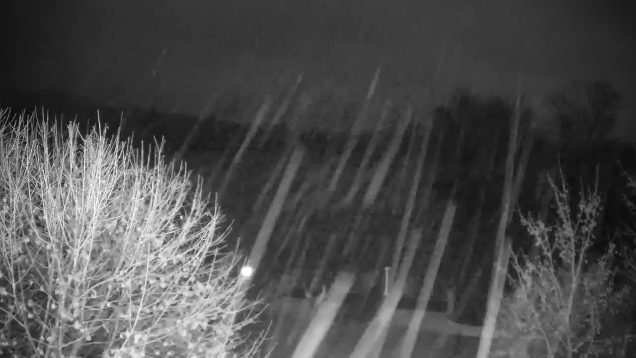 Webcam Ribnik Vrbje – Žalec