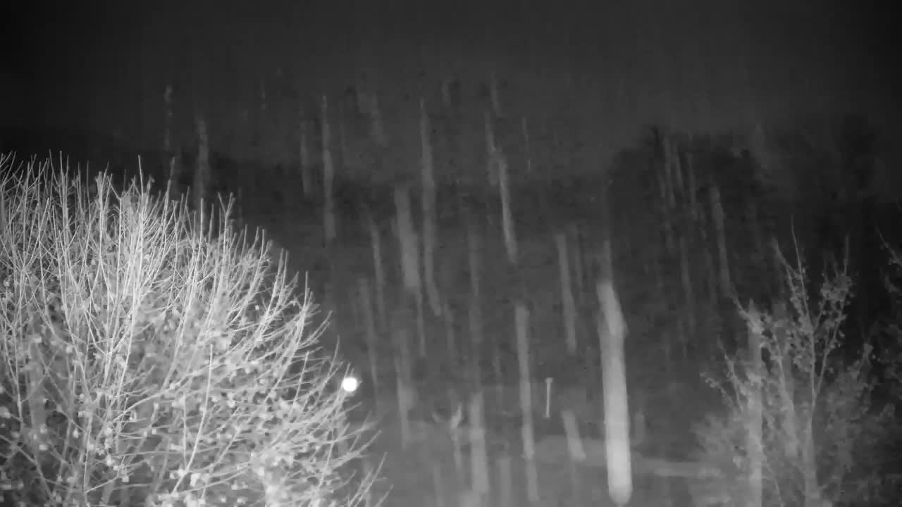 Webcam Ribnik Vrbje – Žalec