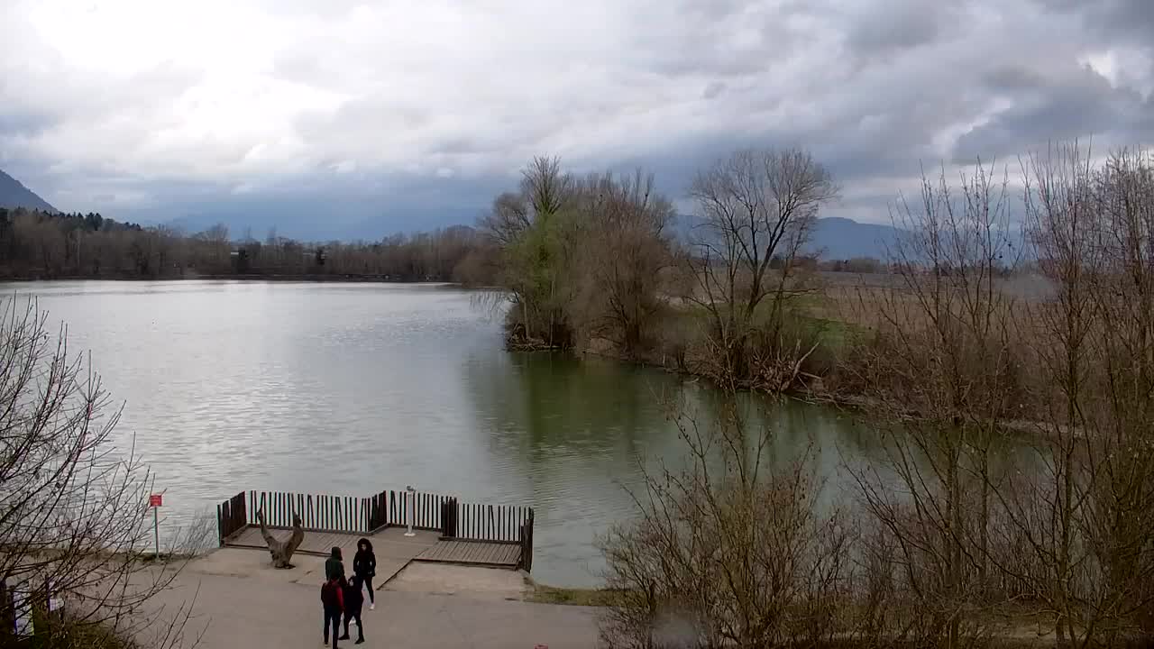 Webcam Ribnik Vrbje – Žalec