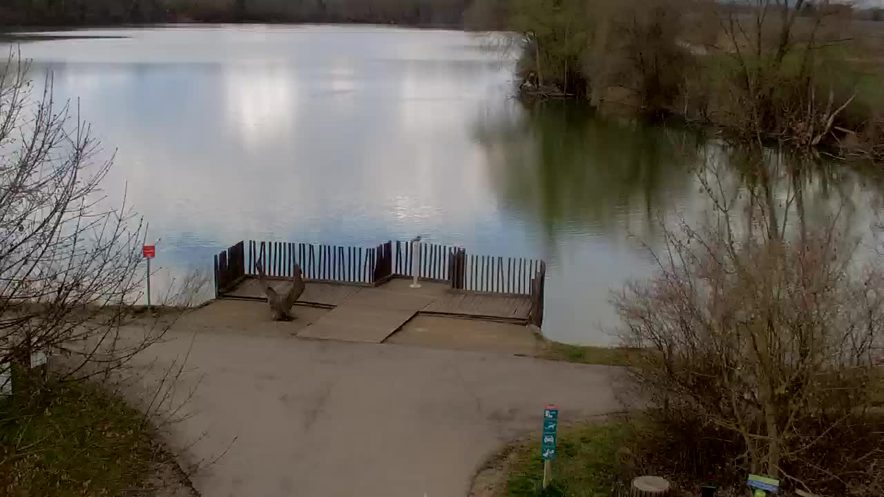 Webcam Ribnik Vrbje – Žalec