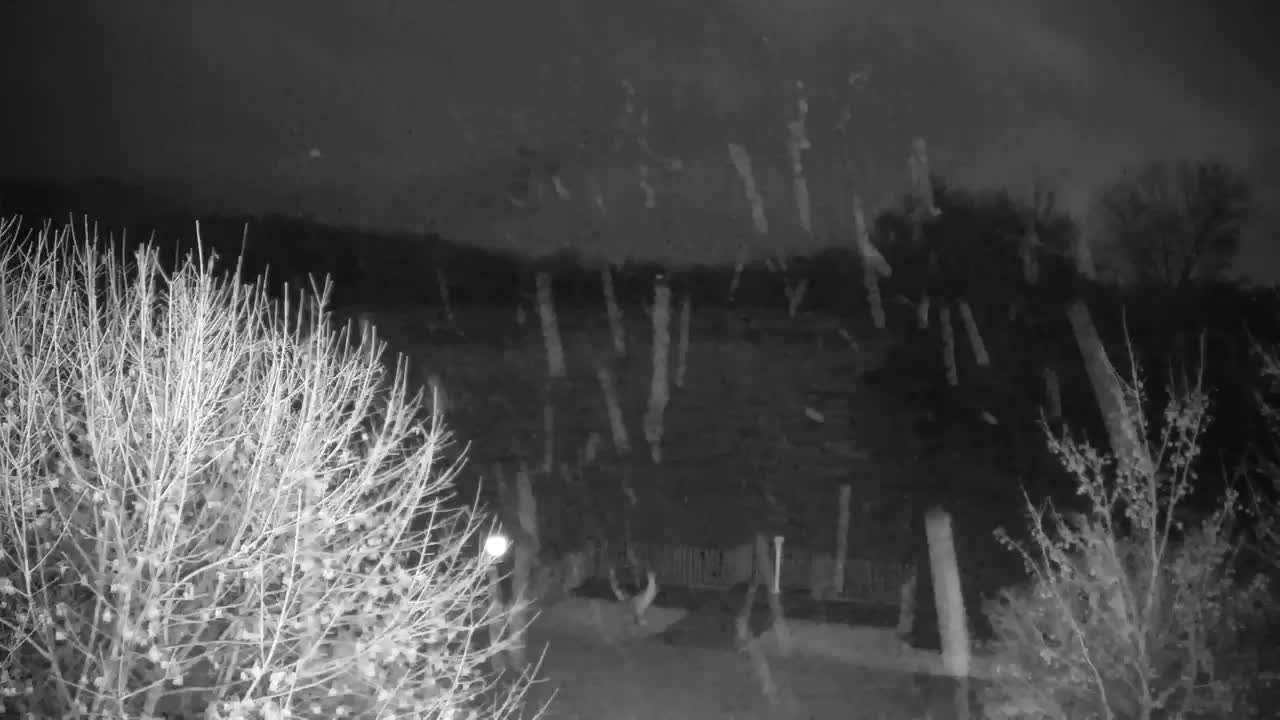 Webcam Ribnik Vrbje – Žalec