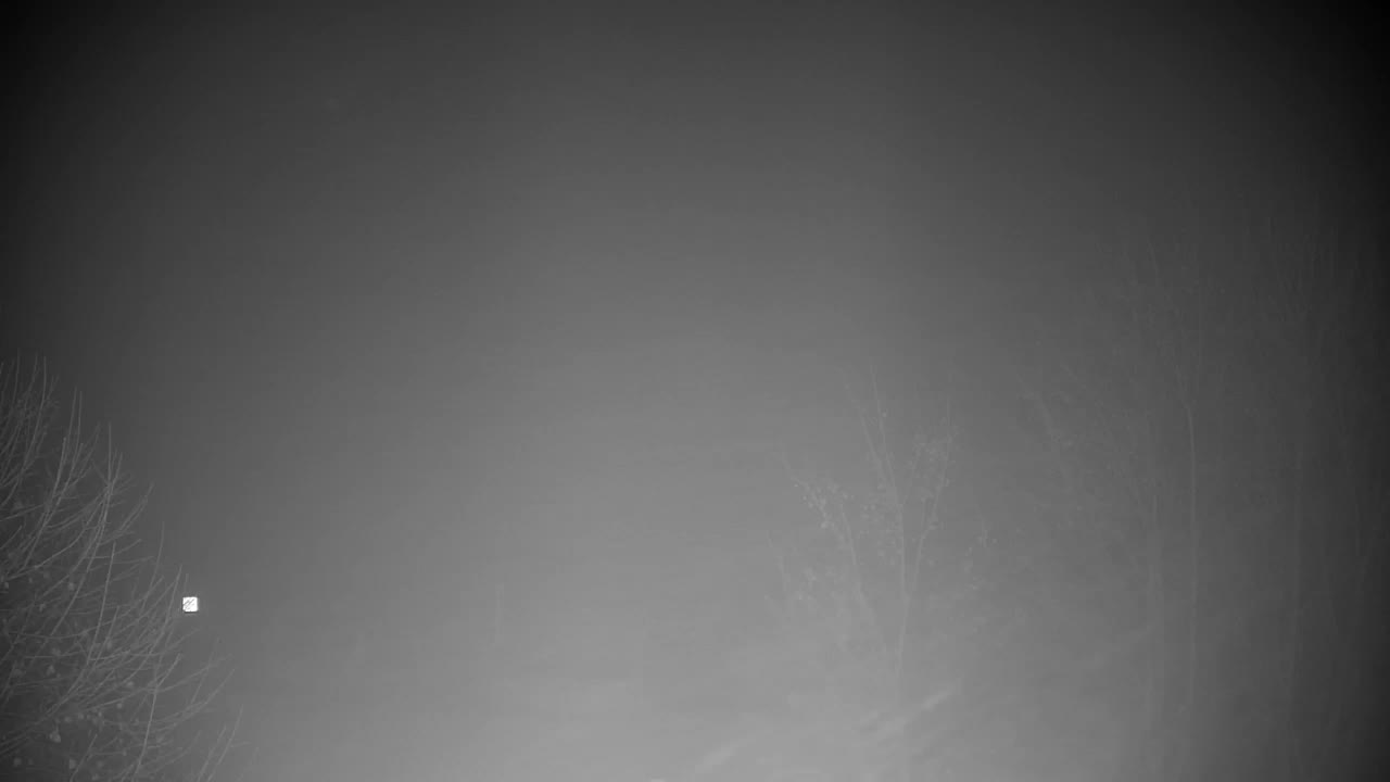 Spletna kamera Ribnik Vrbje – Žalec