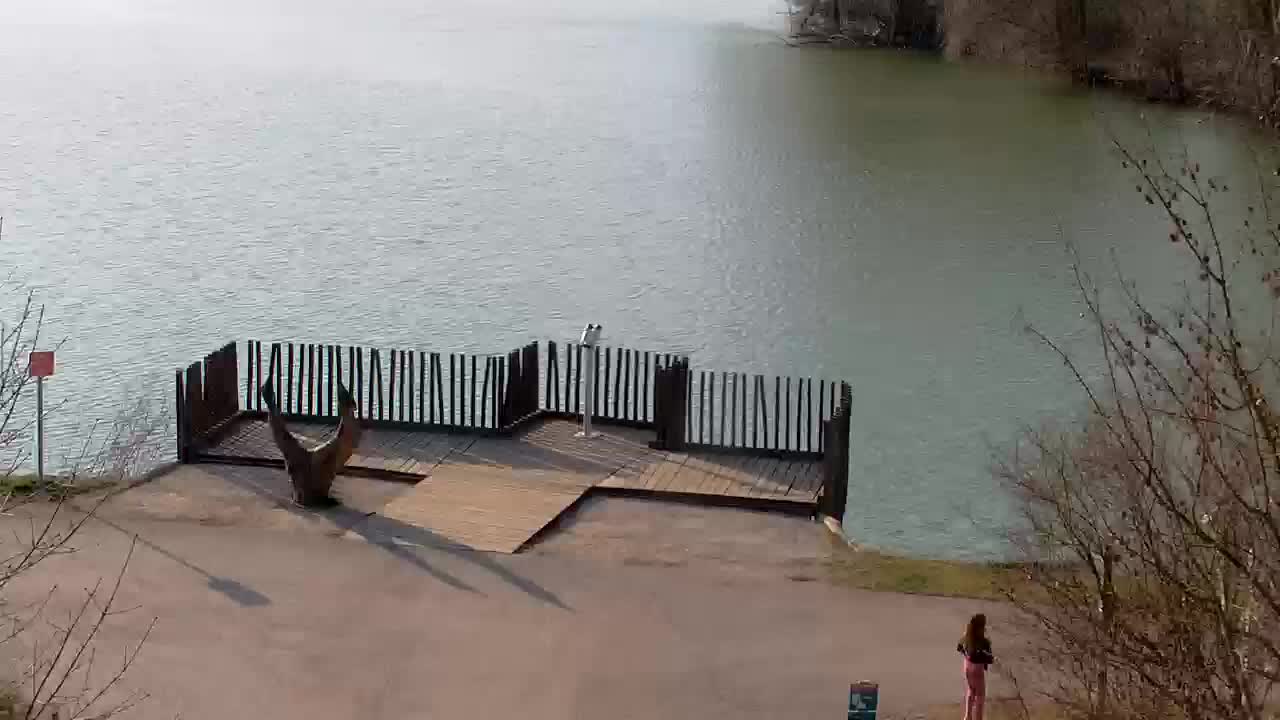 Webcam Ribnik Vrbje – Žalec