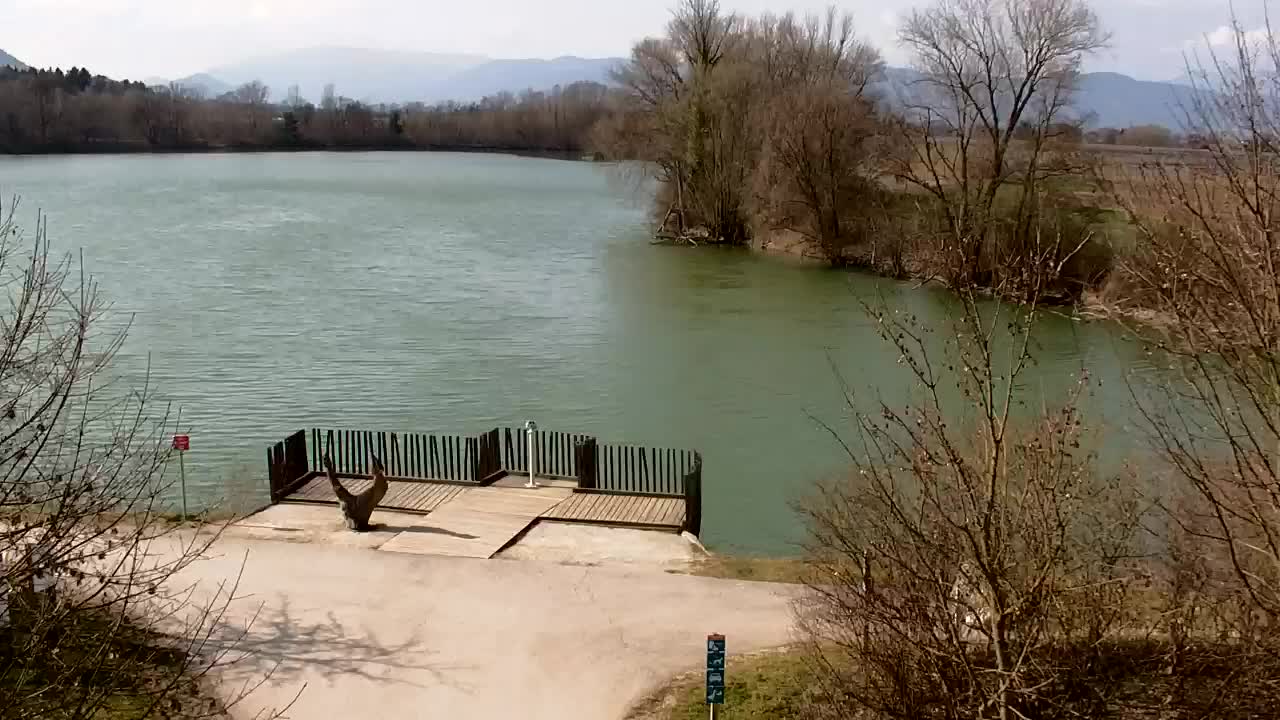 Webcam Ribnik Vrbje – Žalec