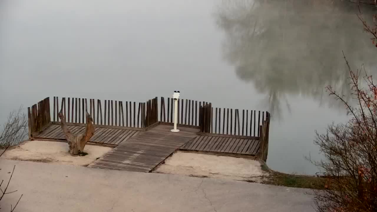 Spletna kamera Ribnik Vrbje – Žalec