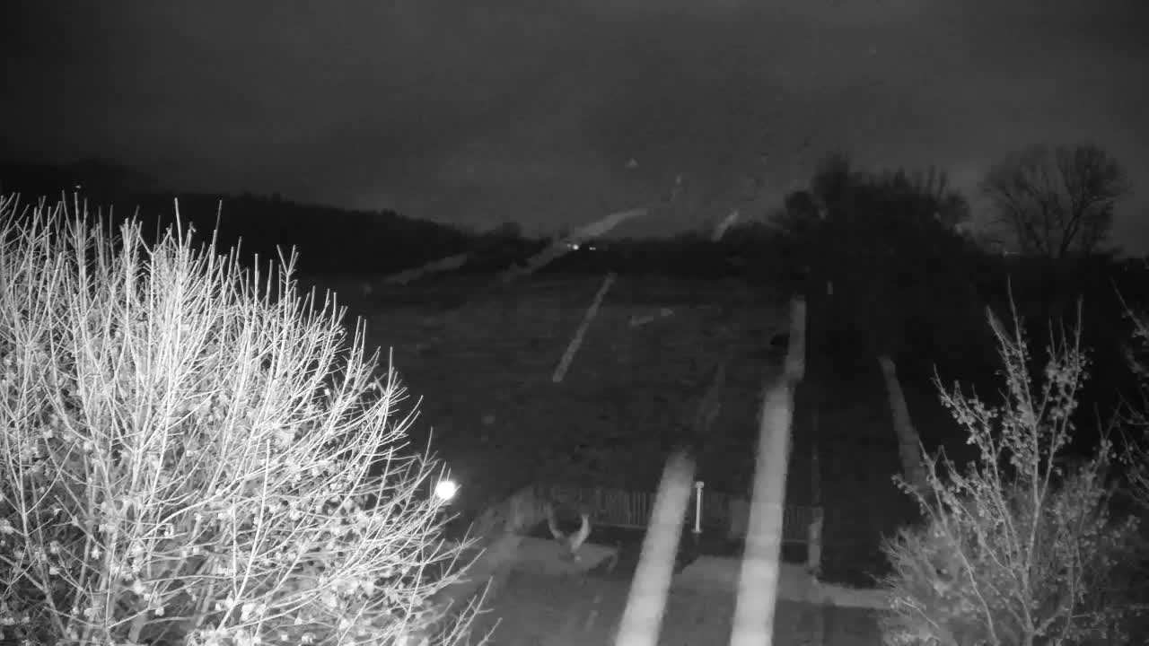 Webcam Ribnik Vrbje – Žalec