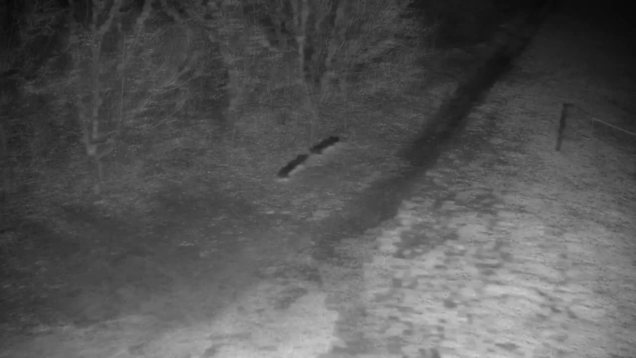 Web kamera Ribnik Vrbje – Žalec