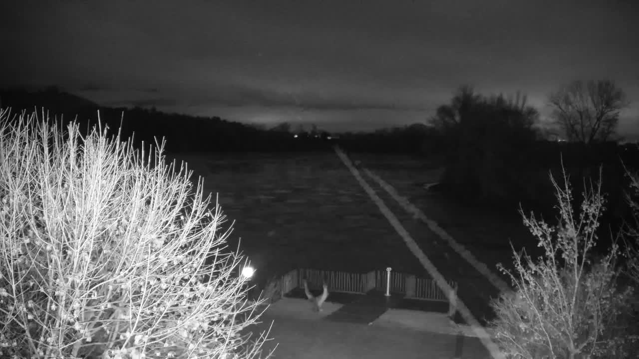 Webcam Ribnik Vrbje – Žalec