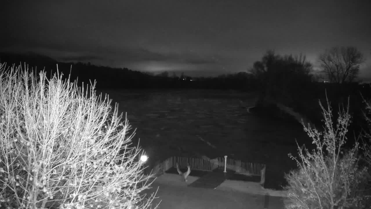 Webcam Ribnik Vrbje – Žalec