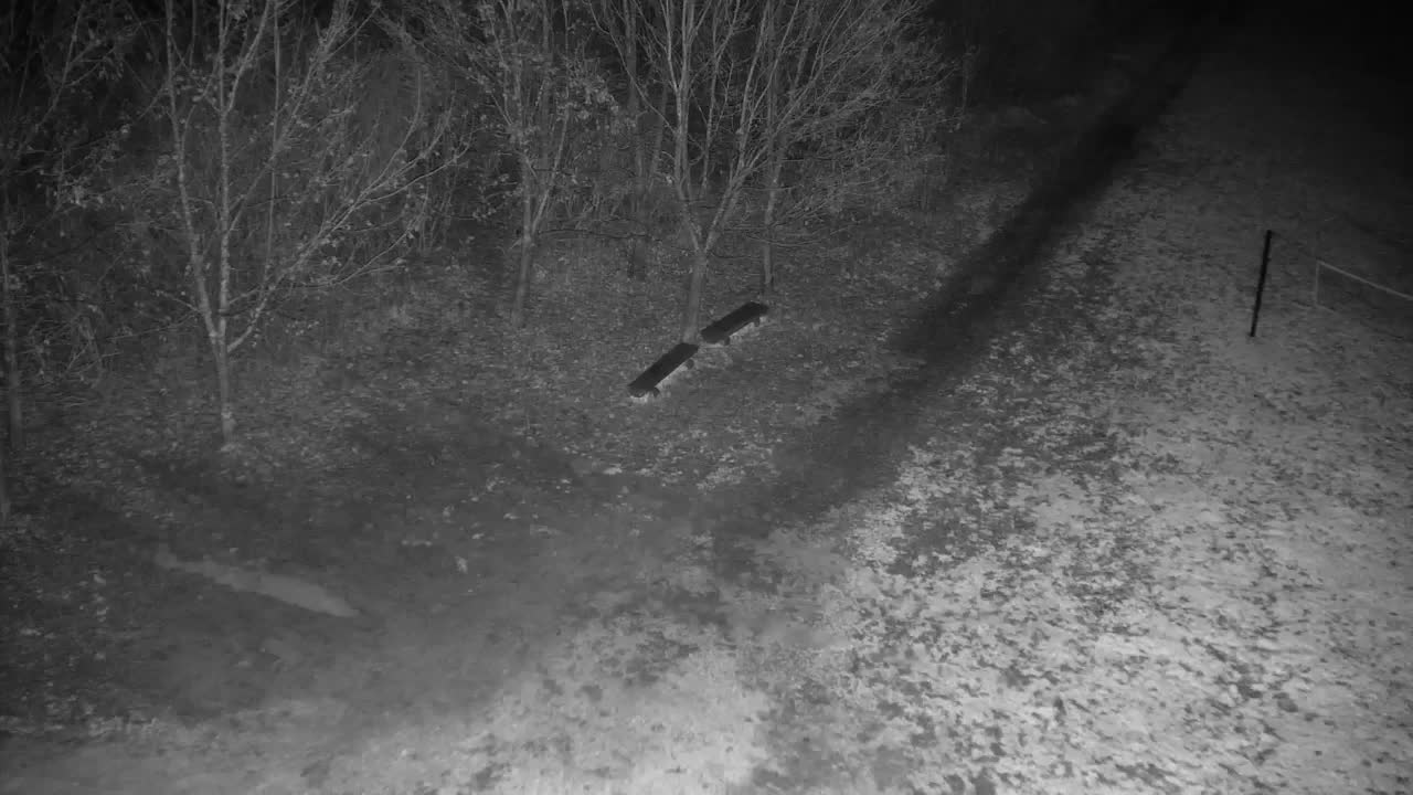 Webcam Ribnik Vrbje – Žalec