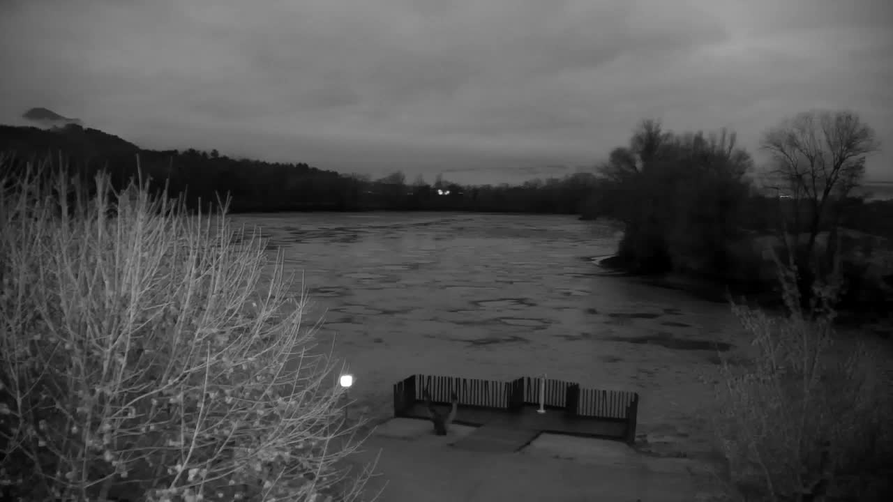 Web kamera Ribnik Vrbje – Žalec