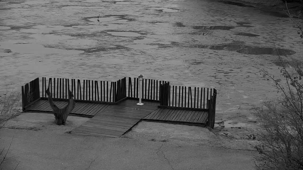 Webcam Ribnik Vrbje – Žalec