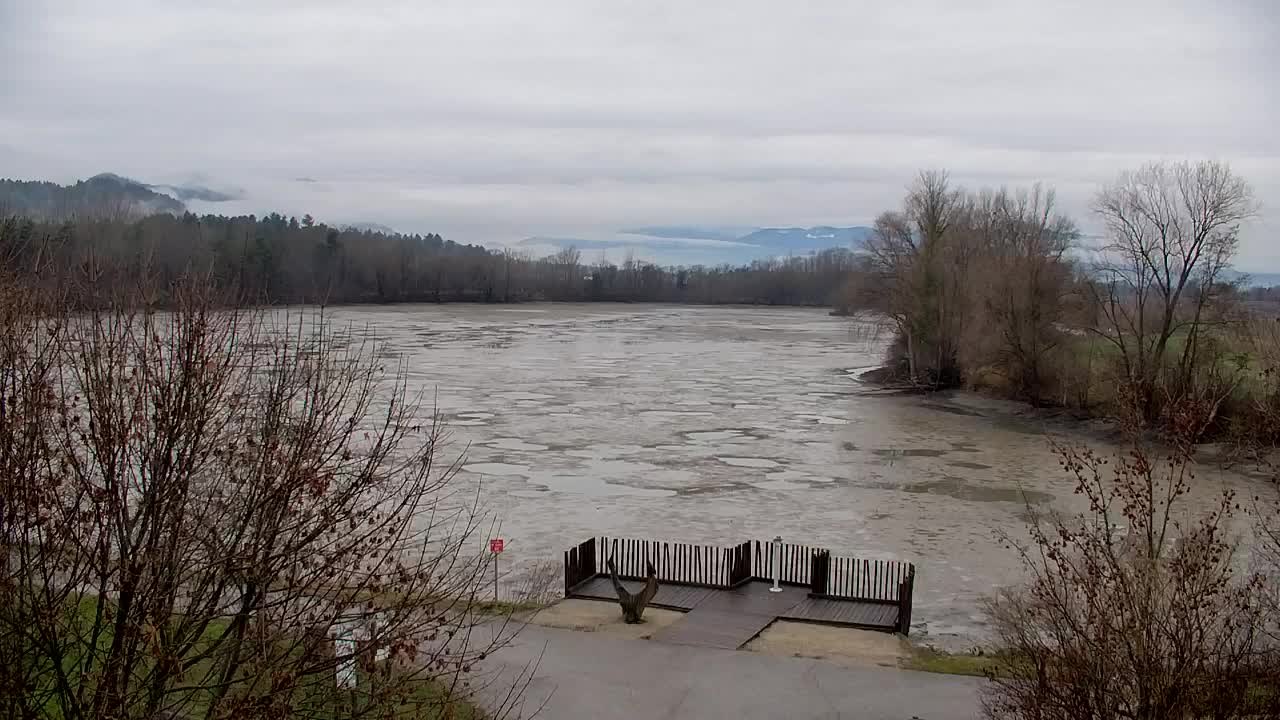 Webcam Ribnik Vrbje – Žalec