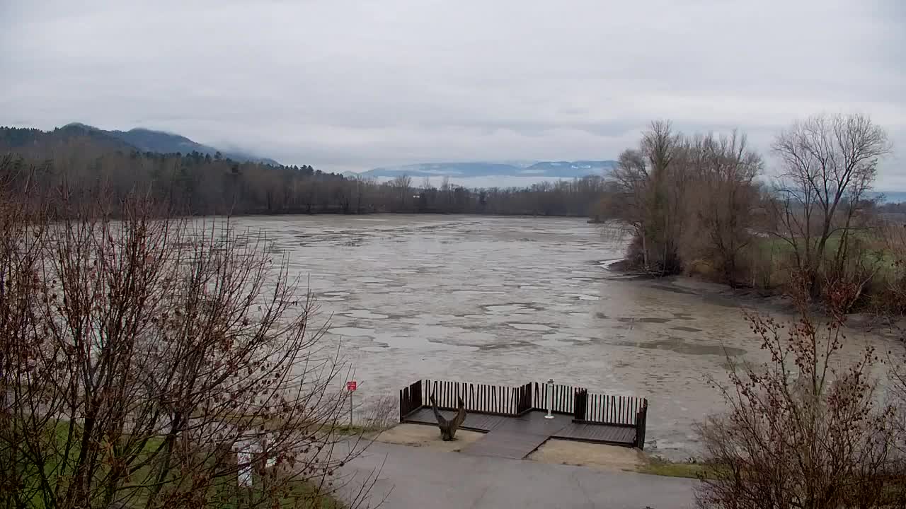 Web kamera Ribnik Vrbje – Žalec