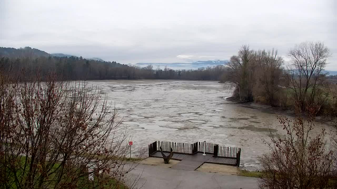 Webcam Ribnik Vrbje – Žalec
