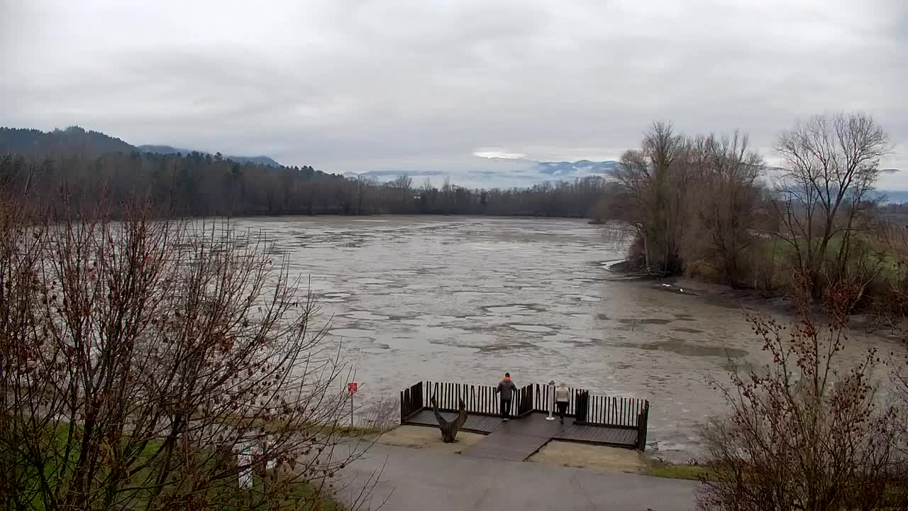 Webcam Ribnik Vrbje – Žalec