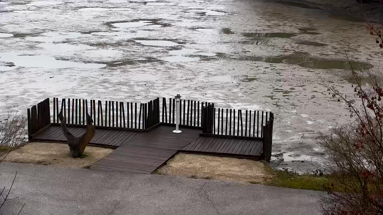 Webcam Ribnik Vrbje – Žalec