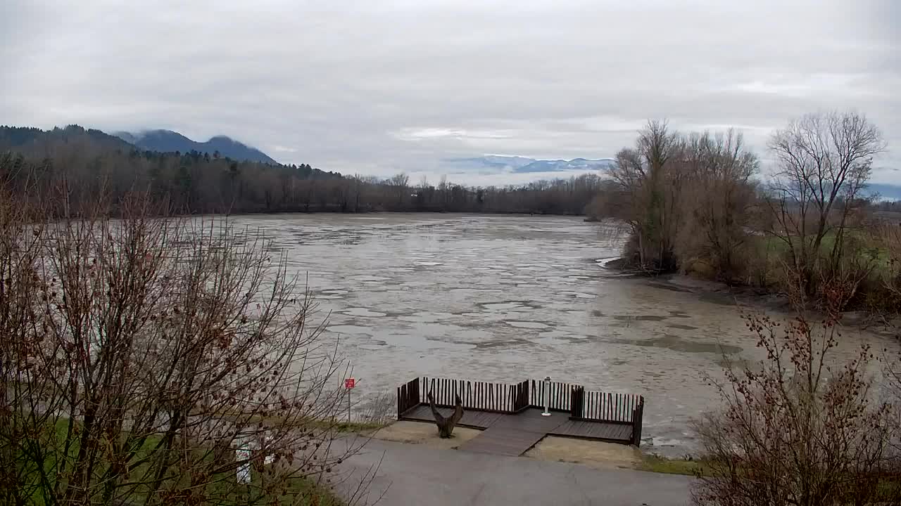 Webcam Ribnik Vrbje – Žalec