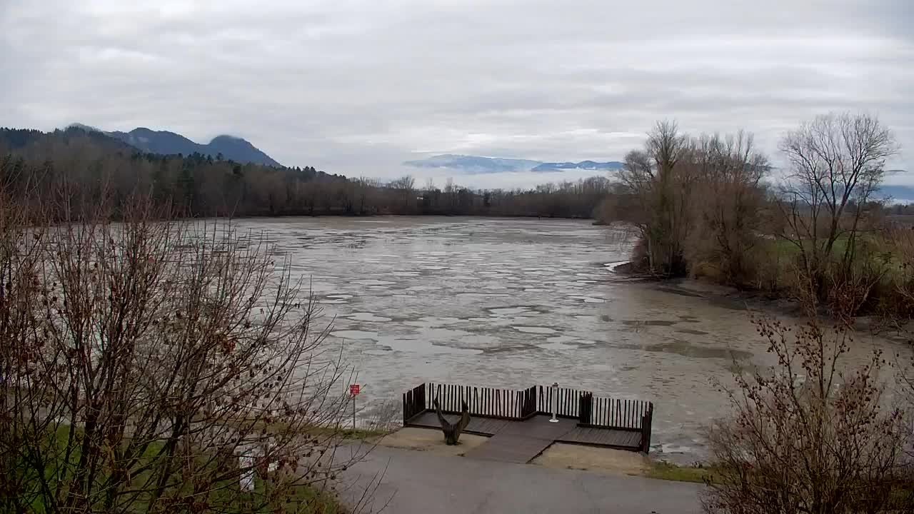 Webcam Ribnik Vrbje – Žalec