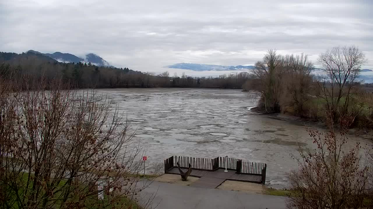 Webcam Ribnik Vrbje – Žalec