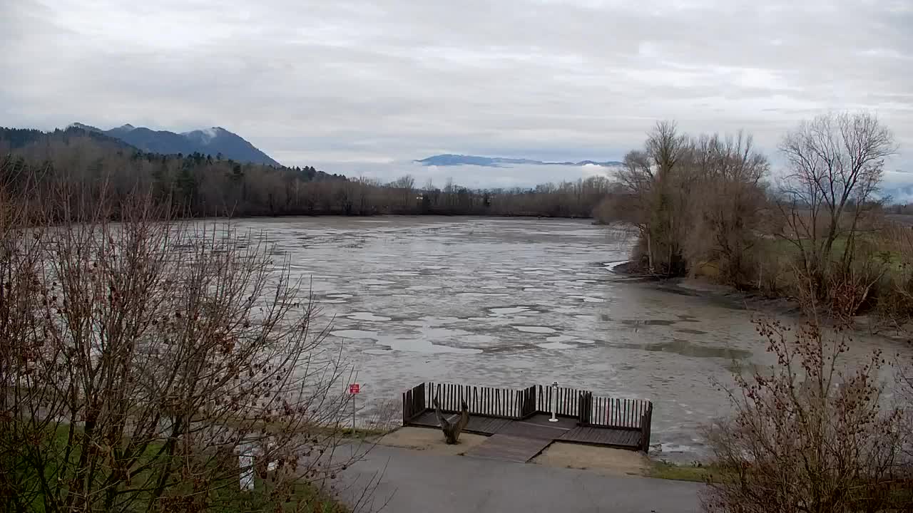 Webcam Ribnik Vrbje – Žalec