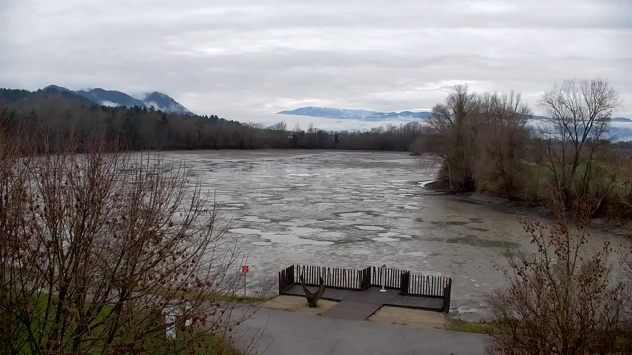 Spletna kamera Ribnik Vrbje – Žalec