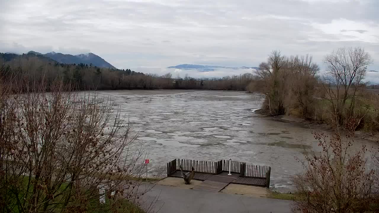 Webcam Ribnik Vrbje – Žalec