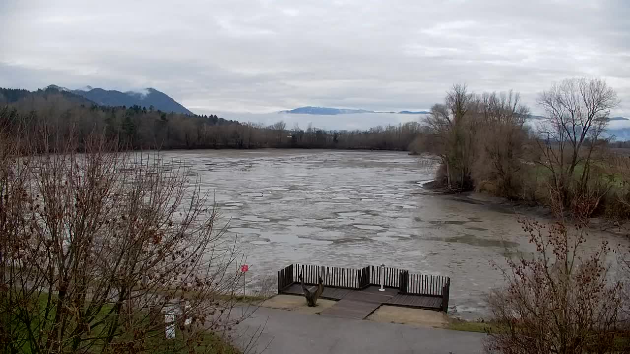 Webcam Ribnik Vrbje – Žalec