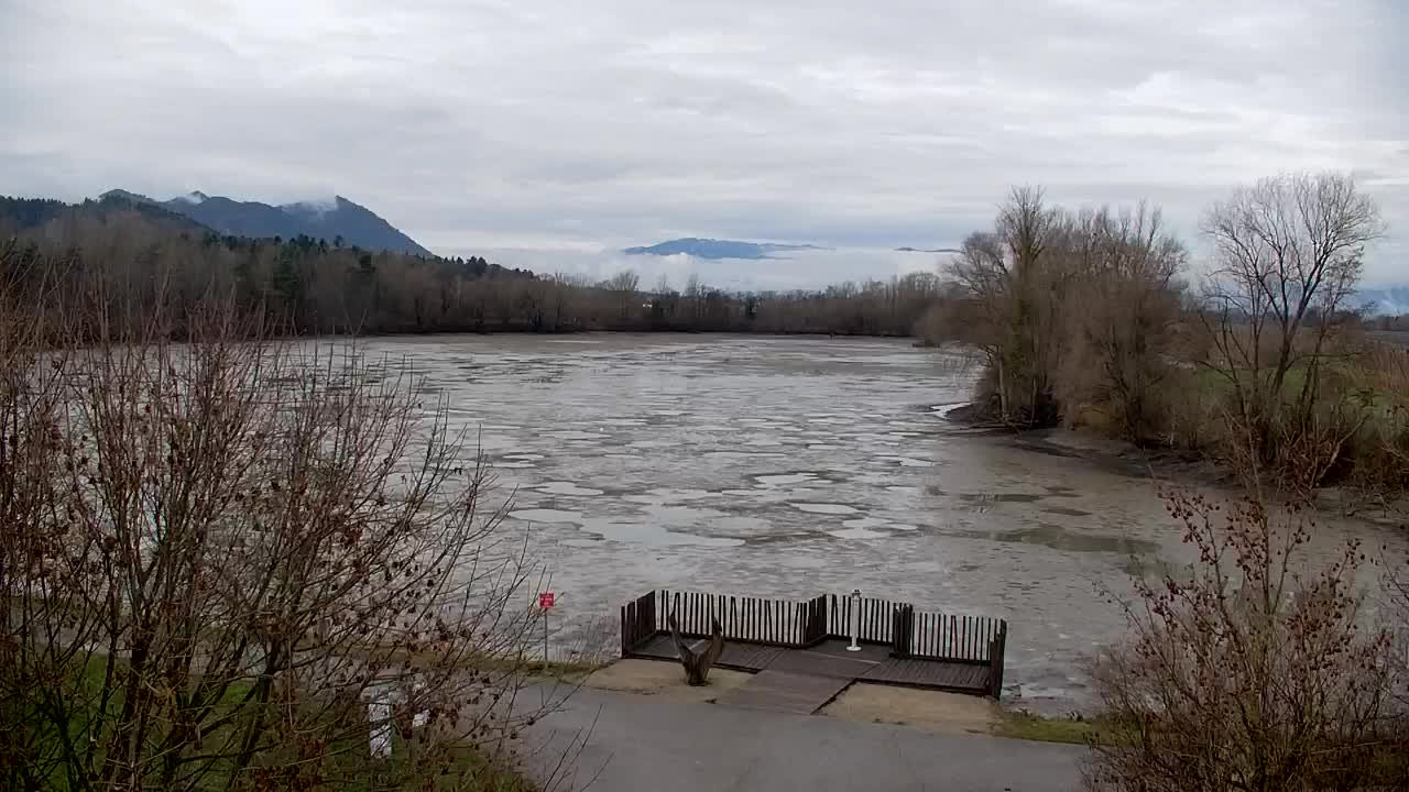 Webcam Ribnik Vrbje – Žalec