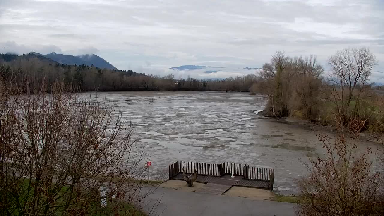 Spletna kamera Ribnik Vrbje – Žalec