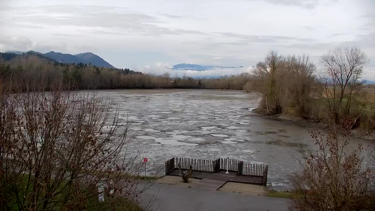 Webcam Ribnik Vrbje – Žalec