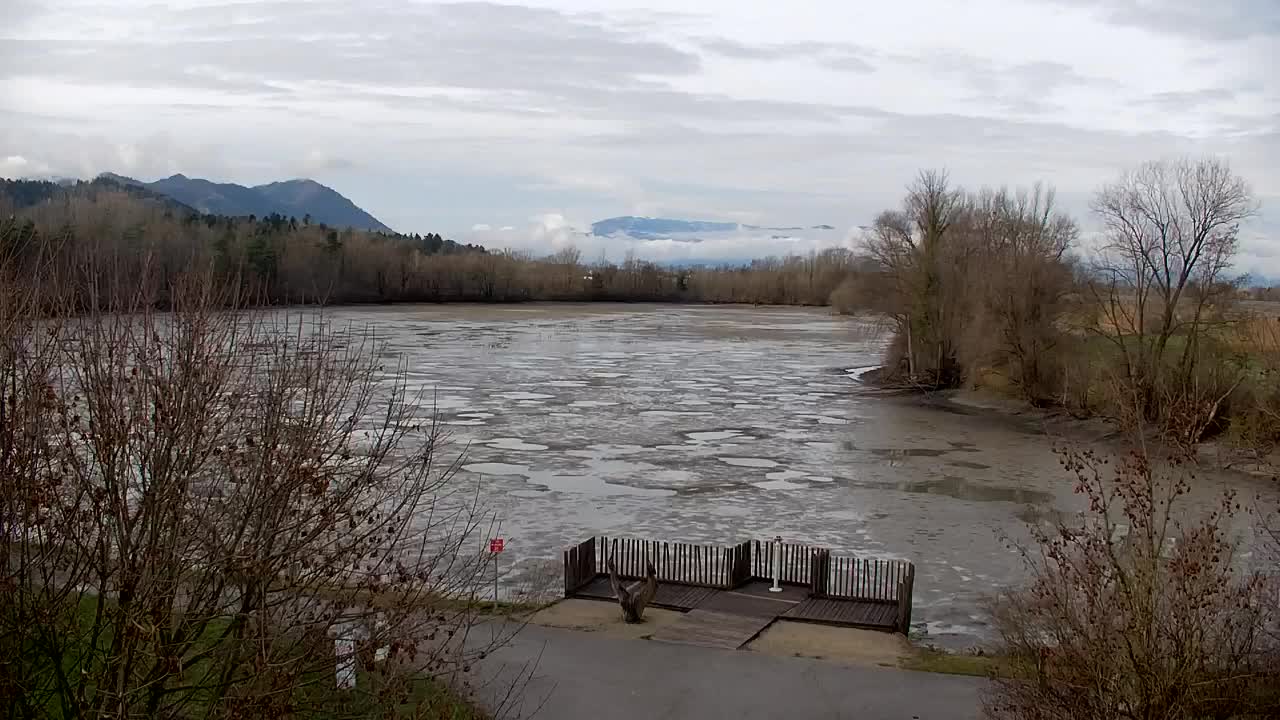 Webcam Ribnik Vrbje – Žalec