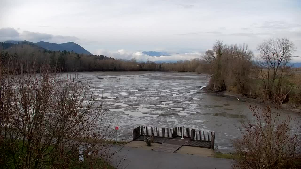 Webcam Ribnik Vrbje – Žalec
