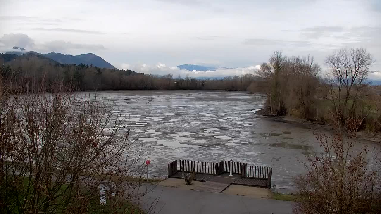 Spletna kamera Ribnik Vrbje – Žalec