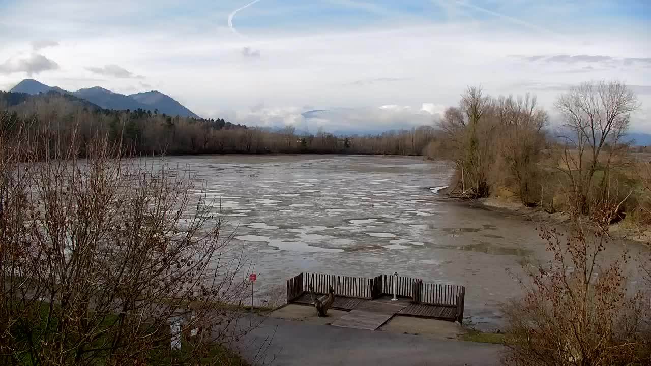 Spletna kamera Ribnik Vrbje – Žalec