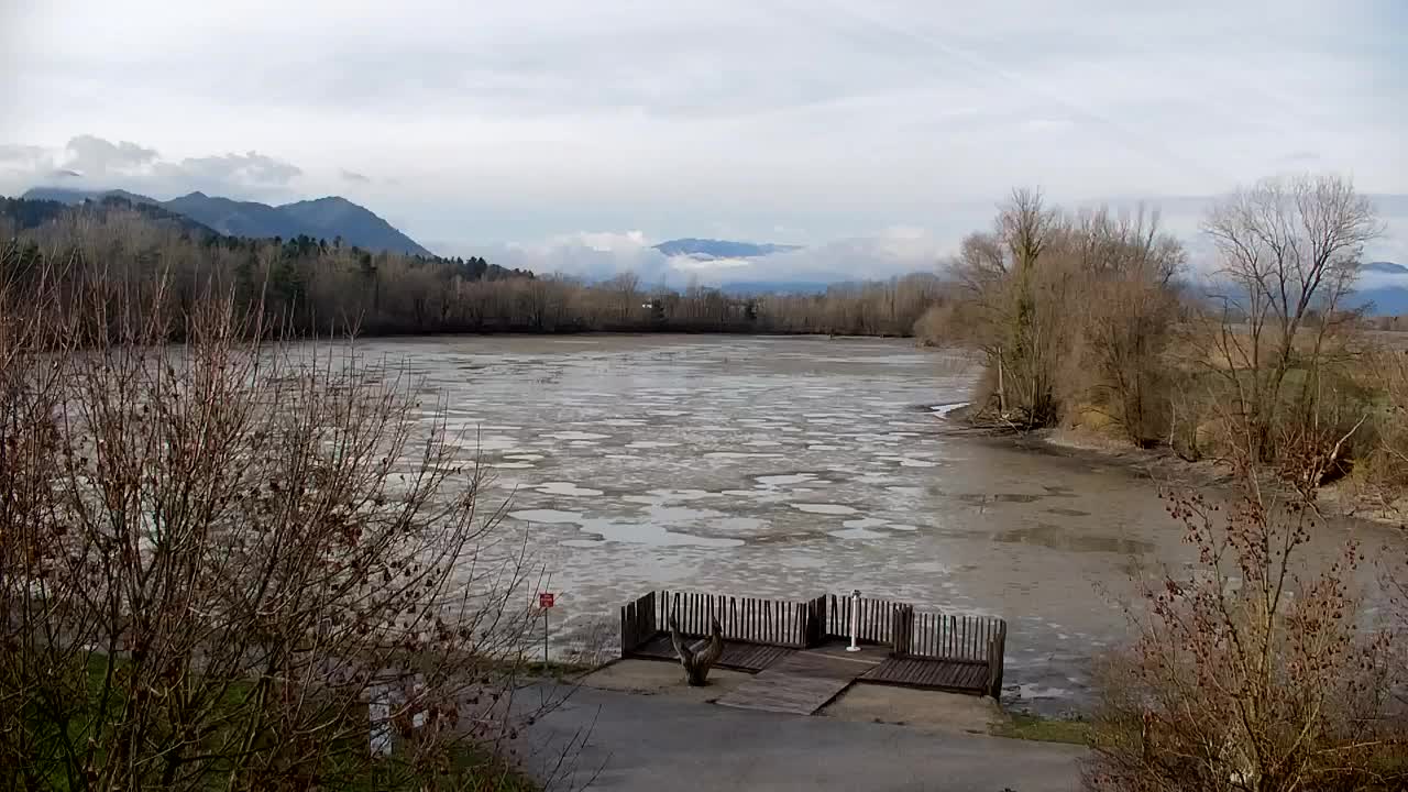 Webcam Ribnik Vrbje – Žalec