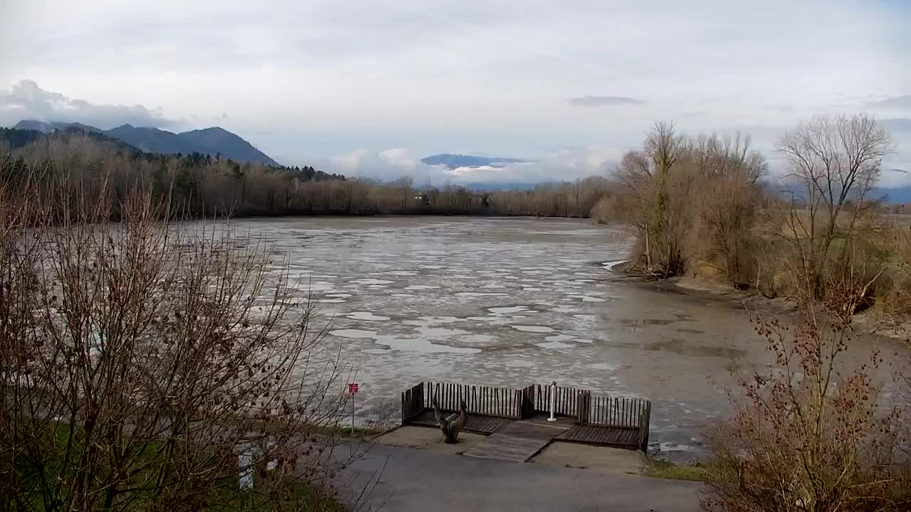 Web kamera Ribnik Vrbje – Žalec