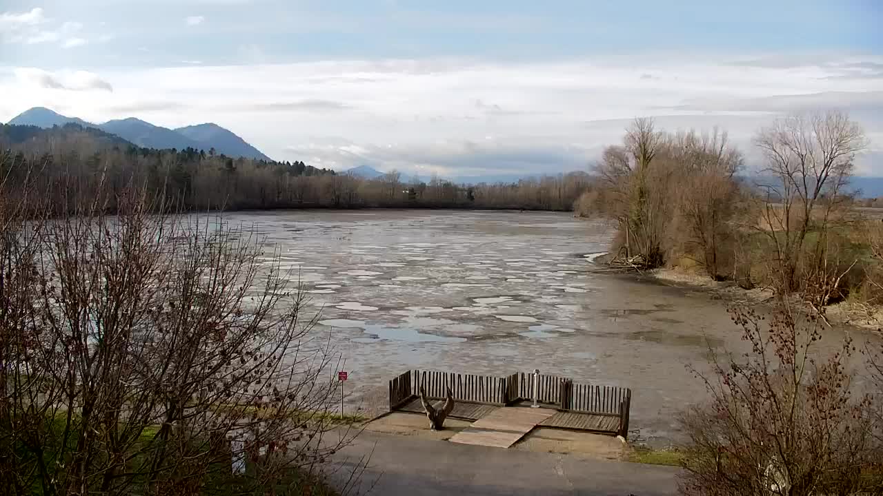 Webcam Ribnik Vrbje – Žalec