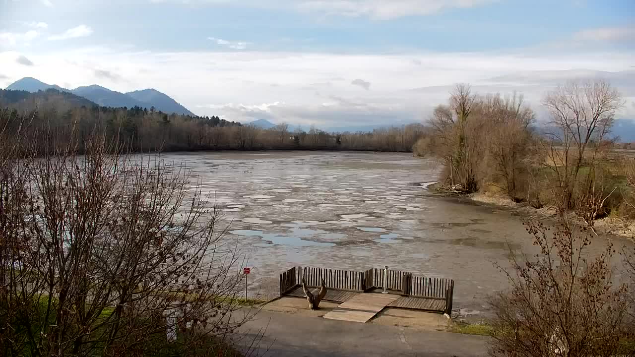 Webcam Ribnik Vrbje – Žalec