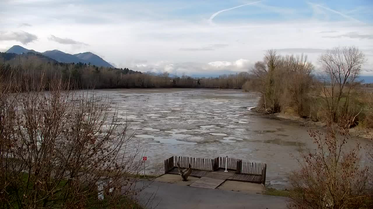 Webcam Ribnik Vrbje – Žalec