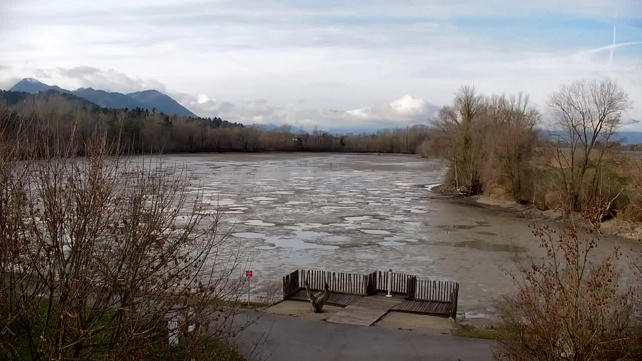 Webcam Ribnik Vrbje – Žalec