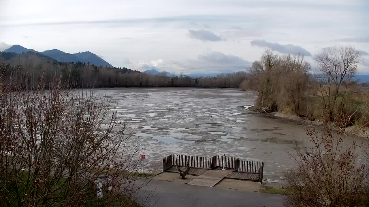 Webcam Ribnik Vrbje – Žalec