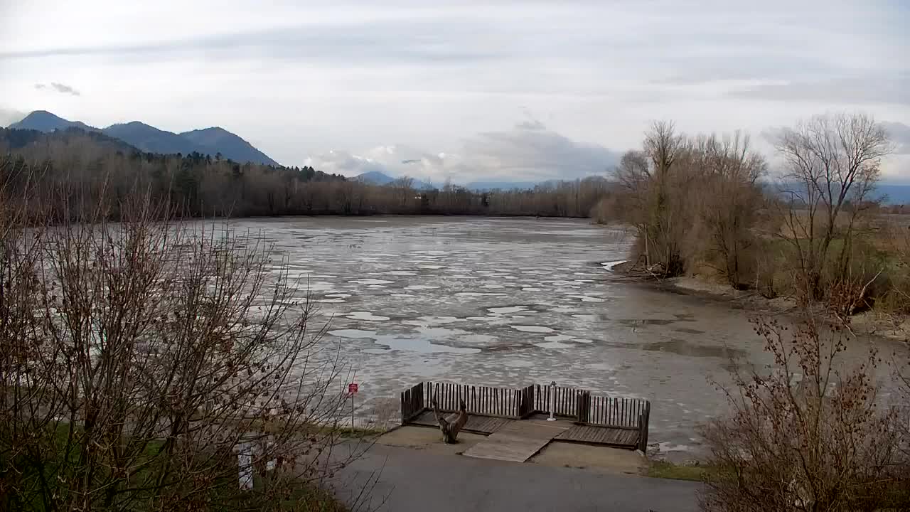 Webcam Ribnik Vrbje – Žalec