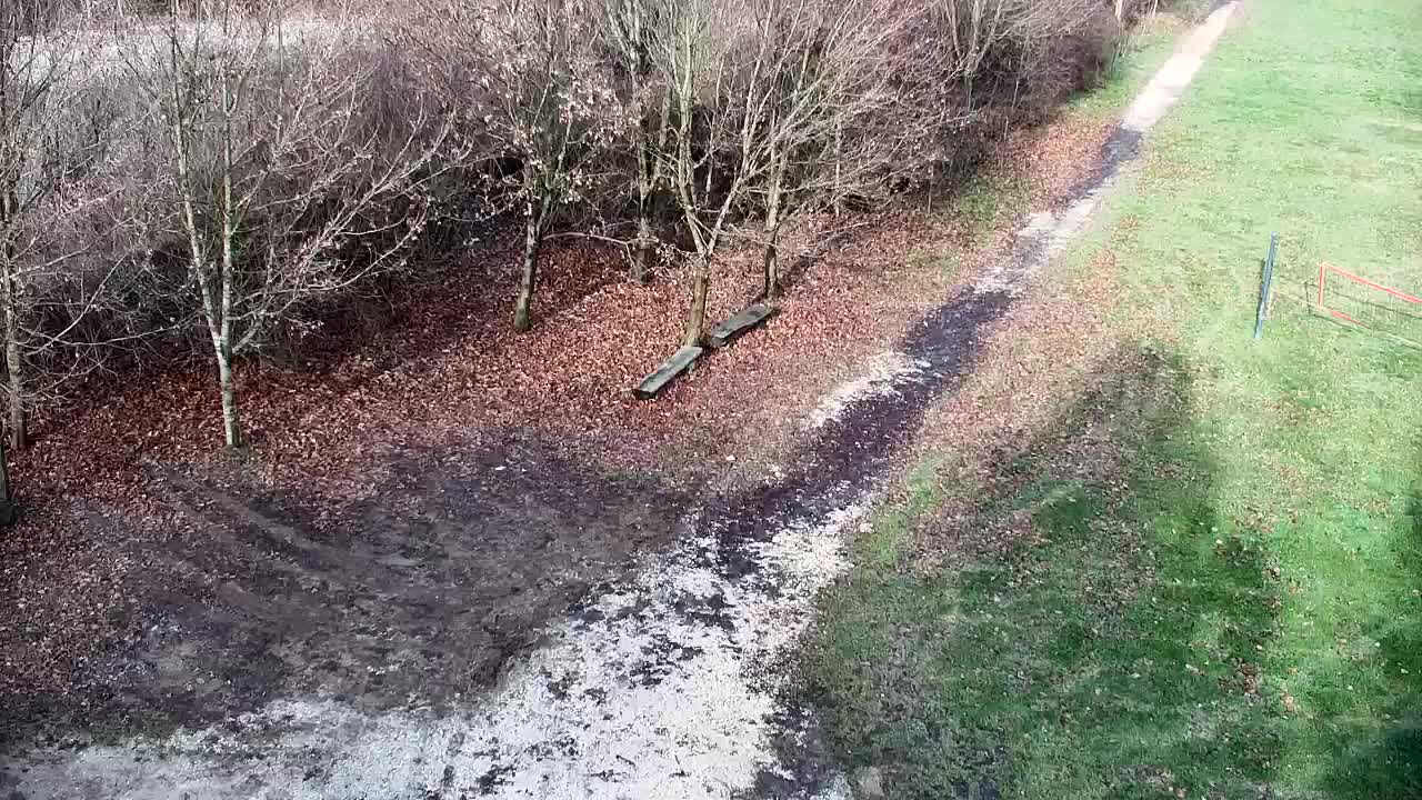 Web kamera Ribnik Vrbje – Žalec