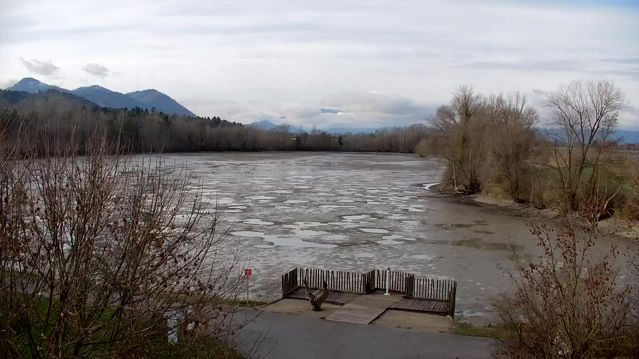 Webcam Ribnik Vrbje – Žalec