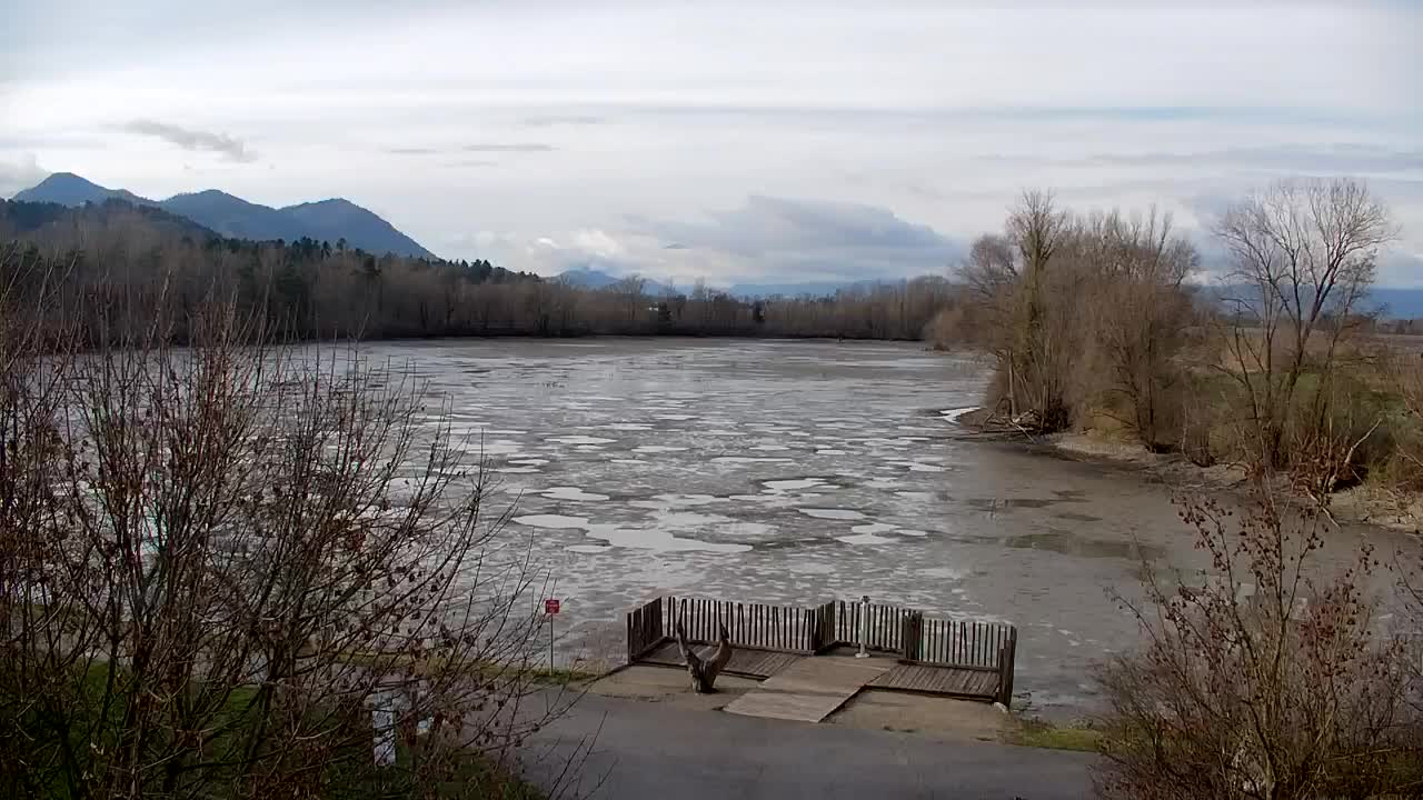 Webcam Ribnik Vrbje – Žalec