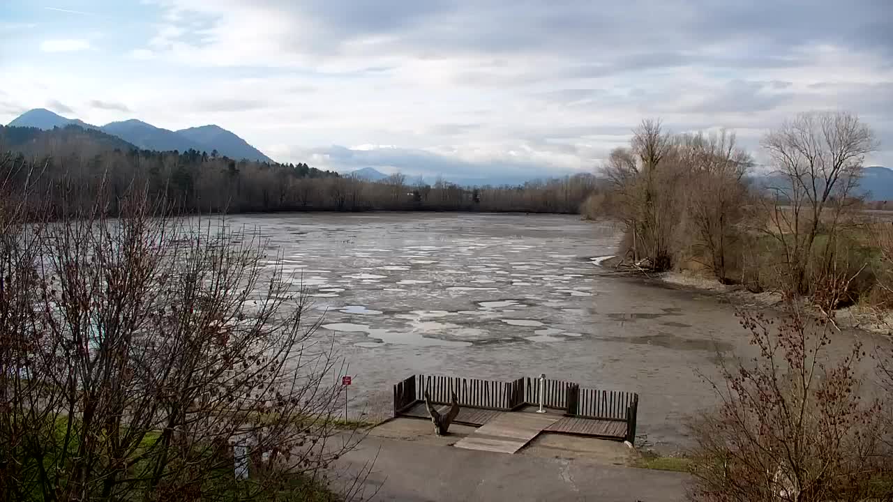 Spletna kamera Ribnik Vrbje – Žalec