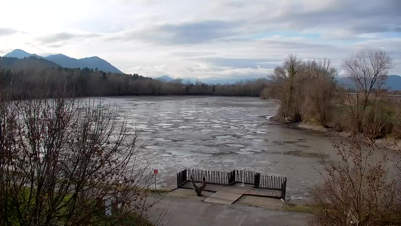 Webcam Ribnik Vrbje – Žalec